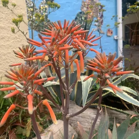 Artkaroo Stay Oudtshoorn Exterior photo